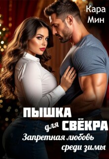 Пышка для свёкра. Запретная любовь среди зимы (Кара Мин)
