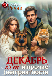 Декабрь, кот и прочие (не)приятности (Джас Риччи)