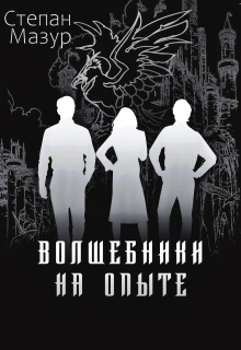 Волшебники на опыте (Степан Мазур)